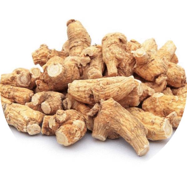 https://unityherbals.ca/wp-content/uploads/2016/04/siberian-ginseng-600x569.gif